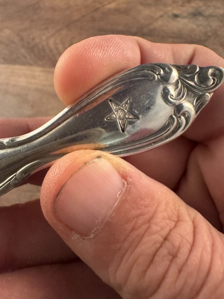 Wm A Rogers Silverplated Cake Pie Server Eastern Star