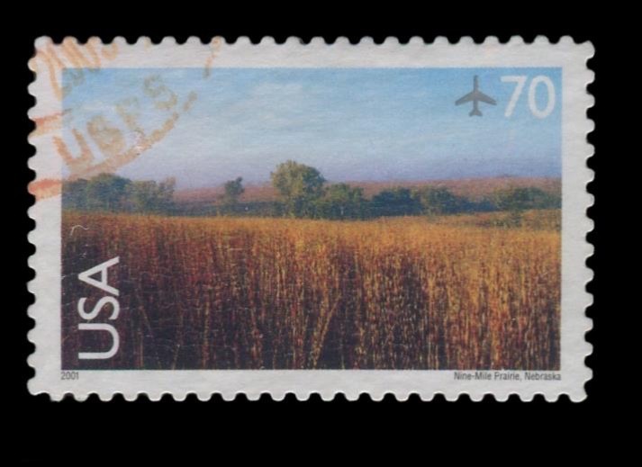 #C136 Used PSE Graded 95, PSE Certificate # 01326314