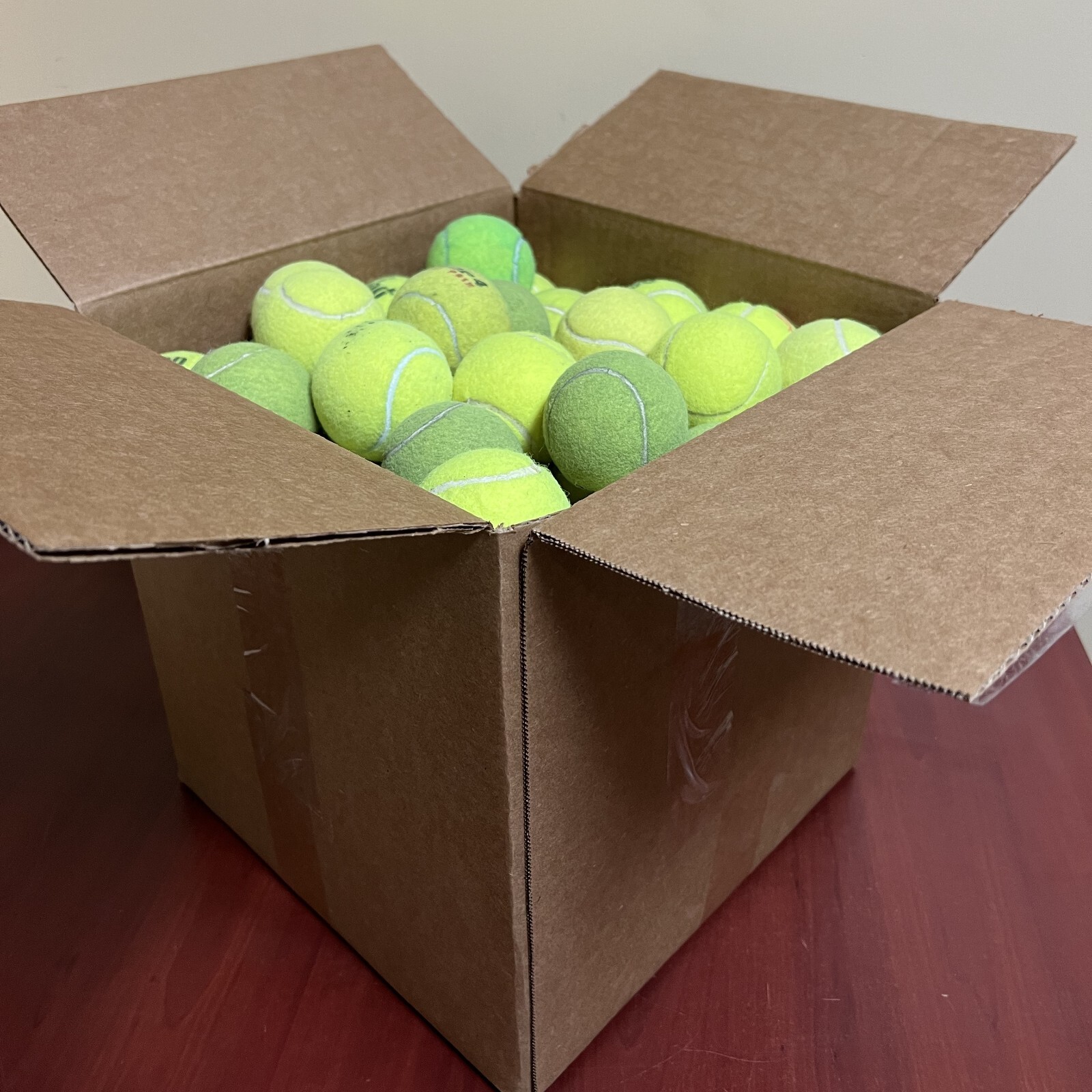 100 Affordable Dog Balls - Free Shipping Included!