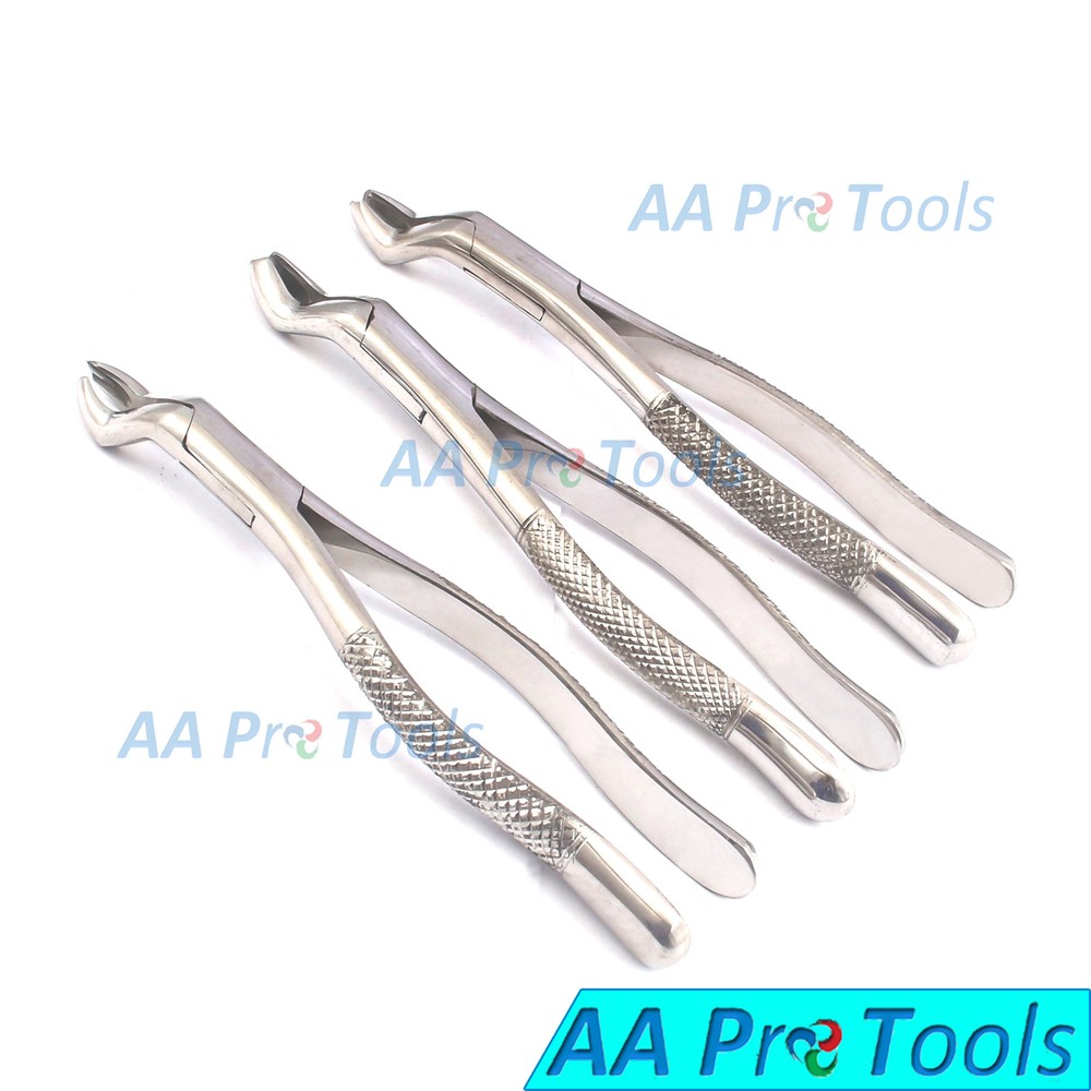 3 Pcs Tooth Extracting Forceps 53R, Extraction Forceps, Dental Hand Instruments