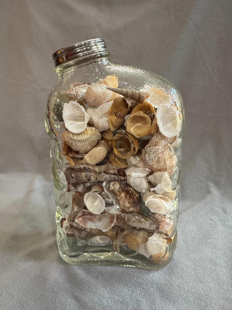 Shell Filled Bubble Textured Surface Jar with Lid