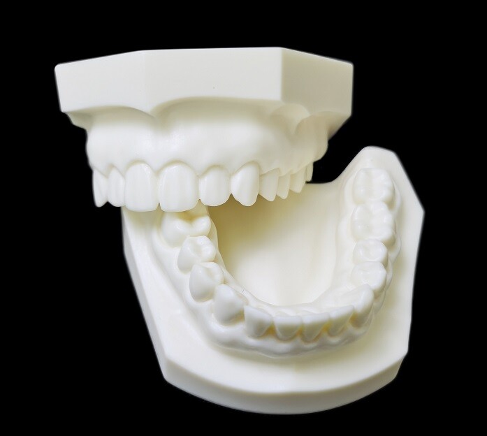 1pc Dental Caries Tooth Care Analysis Models Study Teaching Teeth Model 28/32T
