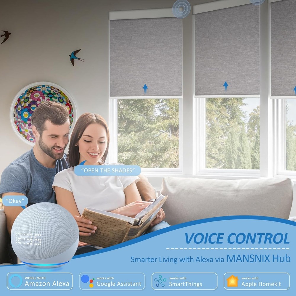 Hub for Motorized Blinds, Required Gateway for APP & Voice Control, Compatible w