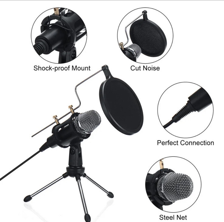 Portable Microphone Plug & Play