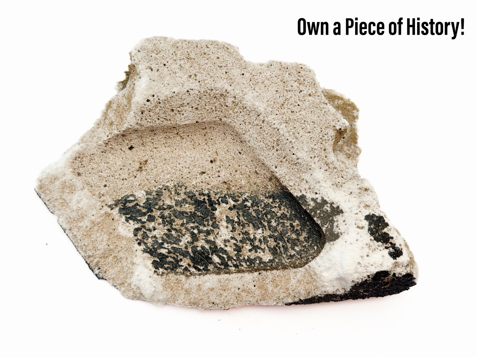 SpaceX Starship Flight 7 Ragged Islands Recovered Epic S33 Tile Relic & Extras