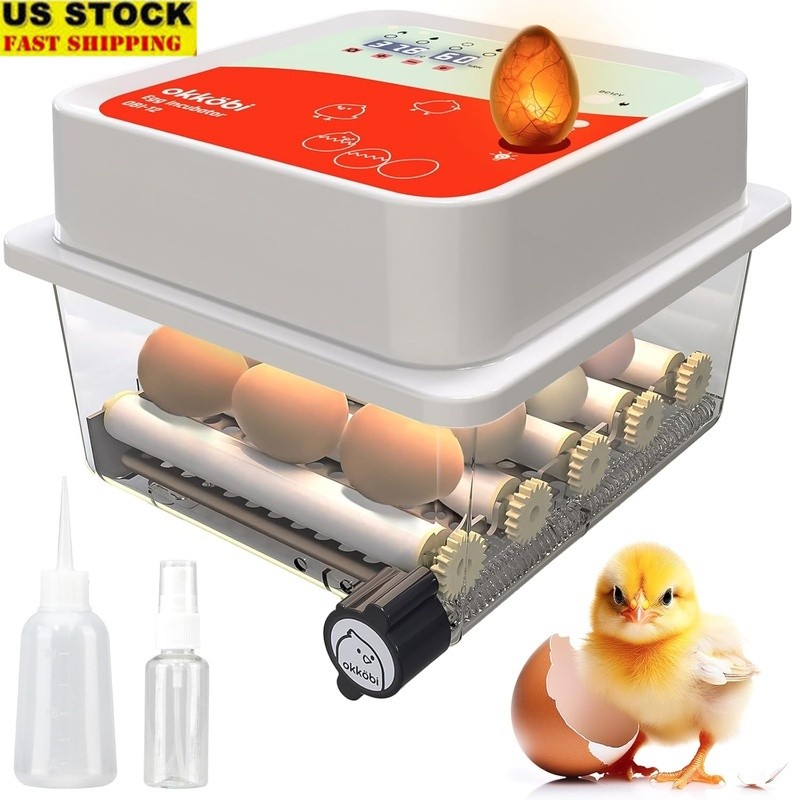 Automatic Egg Incubator 12 Eggs Turner Candler Temperature Control Easy Use