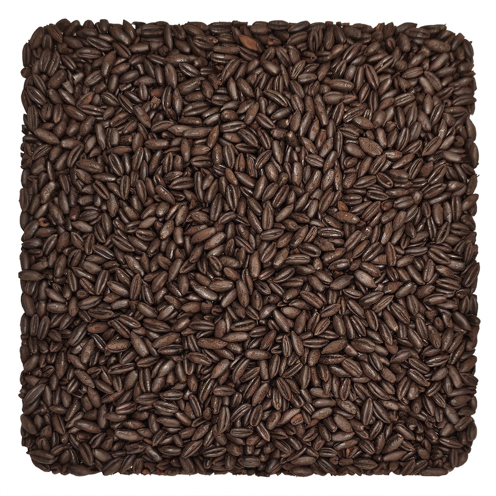 Home Brew Ohio Chocolate Wheat Grain 5lb