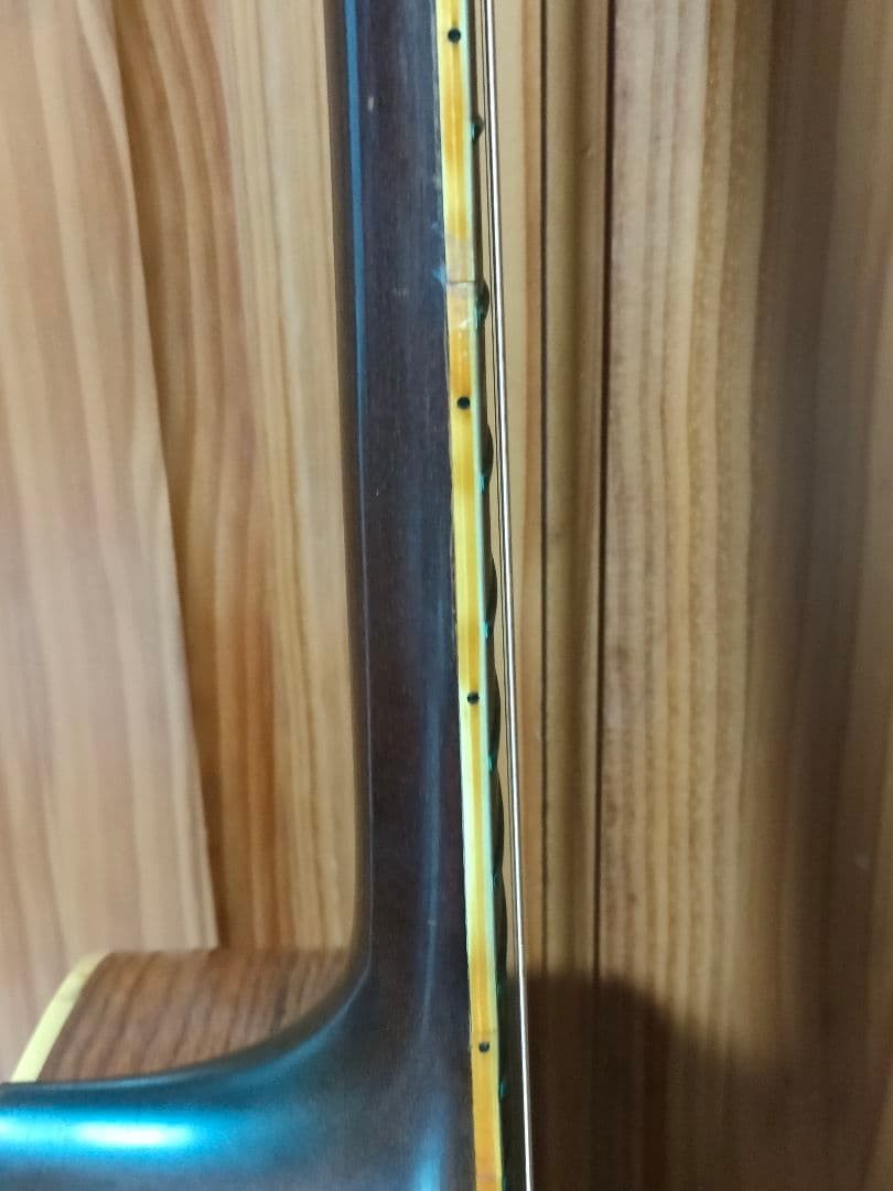 Takamine Elite TW-25 Vintage 1970s Acoustic Guitar Japan