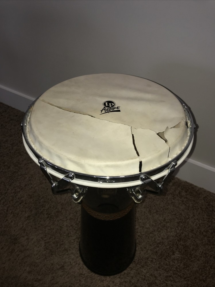 Black Lp Aspire Djembe