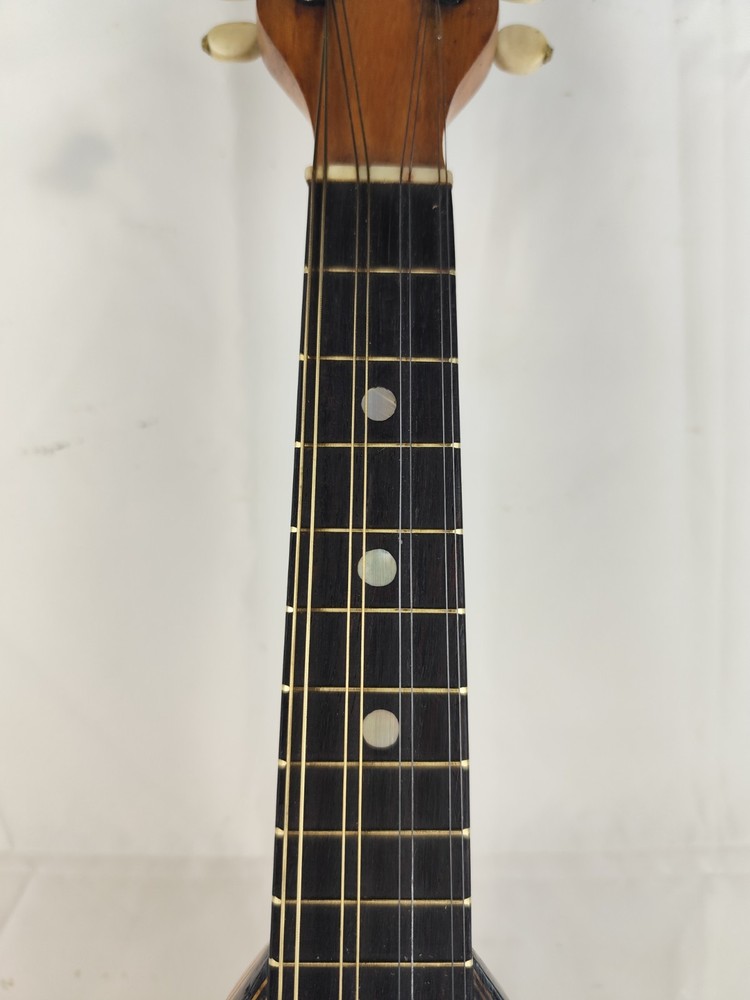 Mandolin Alberto Alberti 1905 Rome 曼陀林 만돌린マンドリン