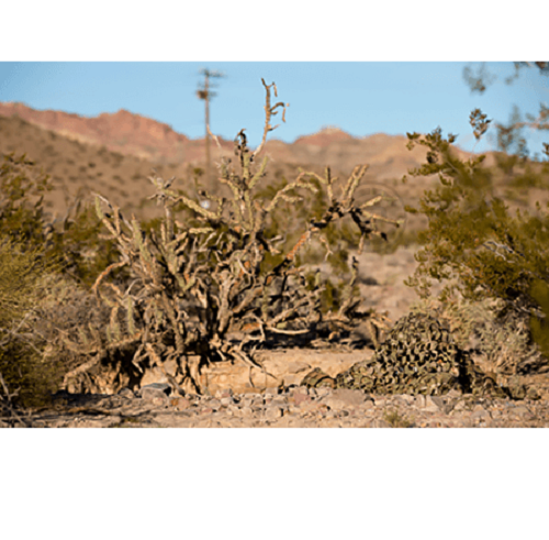 Crye Precision - Compact Assault Ghillie Suit - Multicam - Large