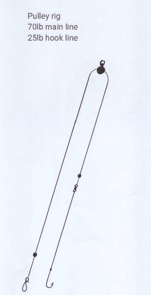 4 X circle 5/0 pulley Rig