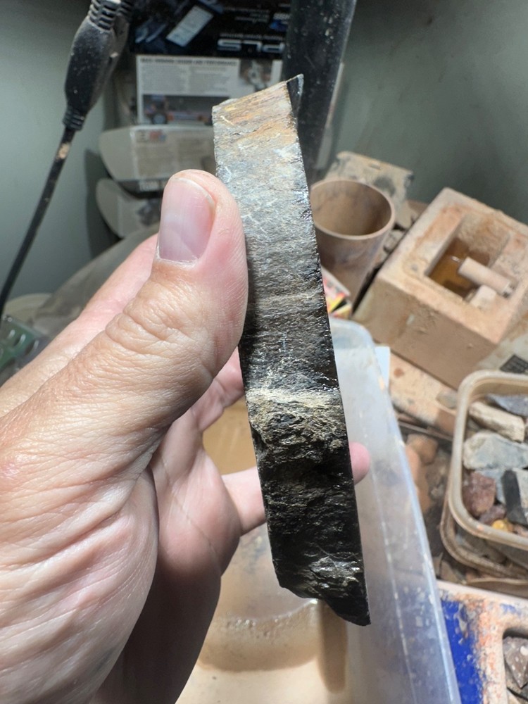 Dinosaur bone rough **hxtled partial vertebrae end cut.