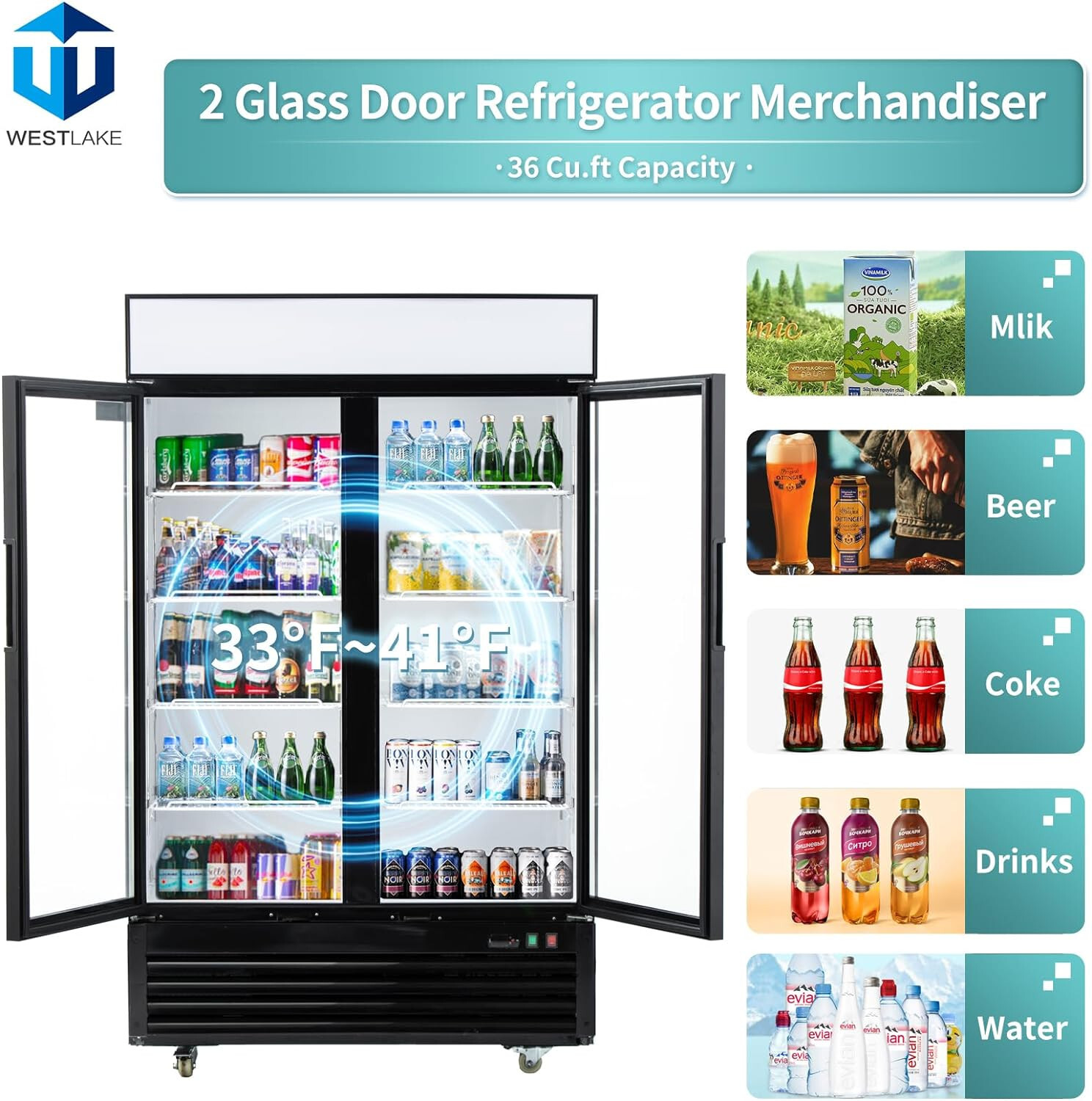 48" W Merchandiser Commercial Display Refrigerator 2 Glass Door Reach-In