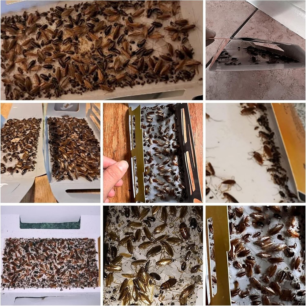 20 Pack Roach Sticky Glue Roach Traps for Indoor Pest Control