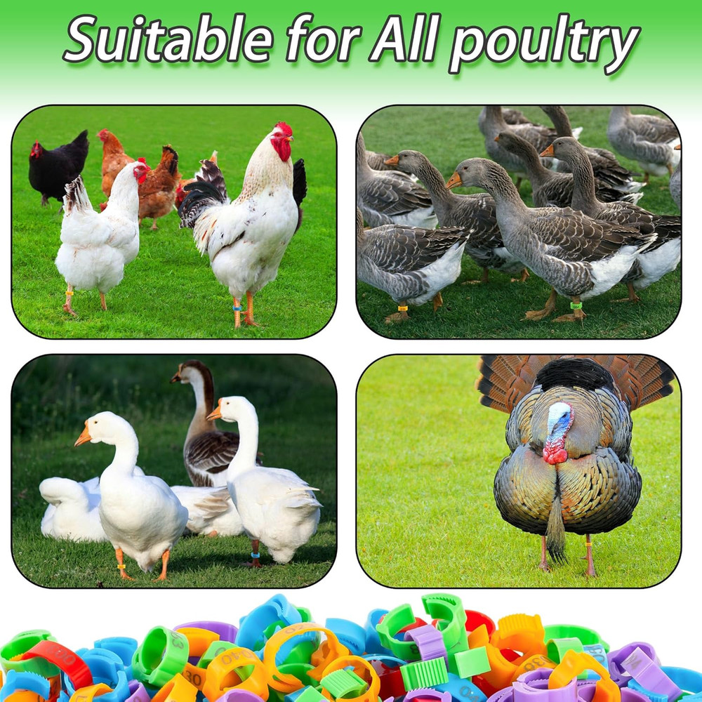 100pcs Chicken Leg Bands, 14-22mm Adjustable Poultry Tags, Durable Multi-Colo...
