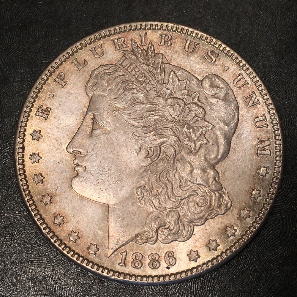 1886 Morgan Silver Dollar -  High Quality Scans #i166