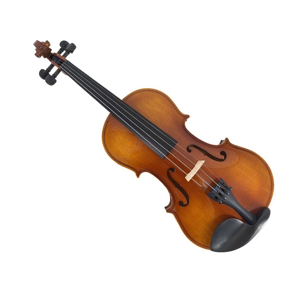 4/4 Violin Spruce Top Maple Back Beginner Gift Set with Case,Bow,Shoulder Rest