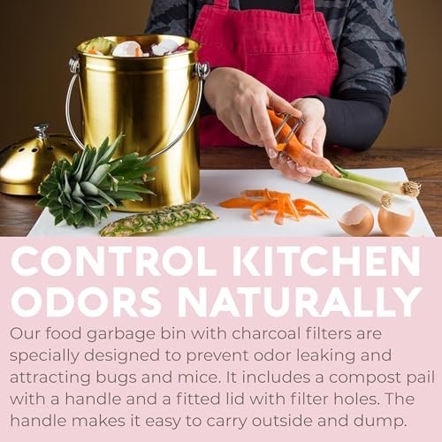Odorless 1.3 Gallon Indoor Compost Bin | Stainless Steel Kitchen Composter with