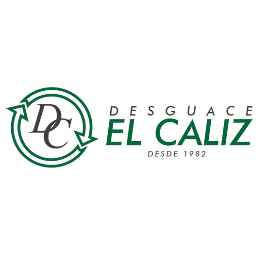 rear window control panel rh 266255 for RENAULT VEL SATIS (BJ0) EXPRESSION 2002