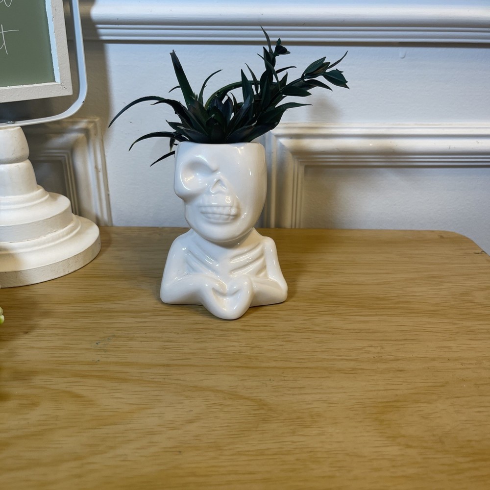 Skull Theme Planter With Artificial Succulents House Decoration Pre-Owned