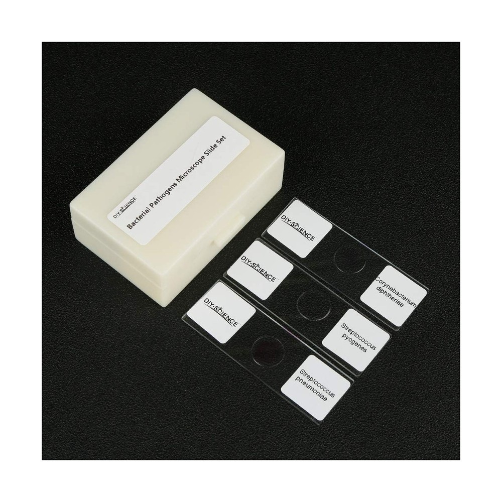 Prepared Bacterial Pathogens Microscope Slide Set, 12pcs Demonstrates The Bac...