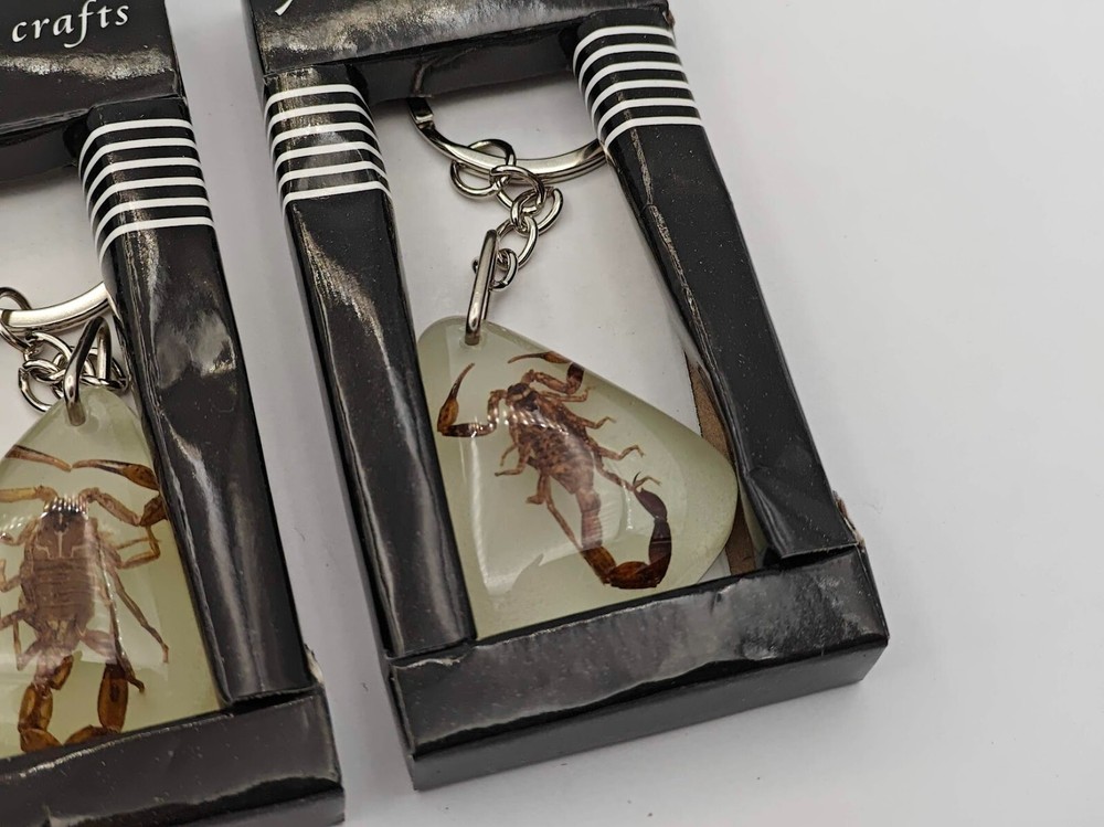 4 PACK! SCORPION Luminous Insect Glowing Keychain Glow in Dark Assorted Shape