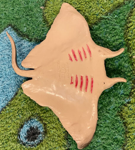 Manta Ray - Small Polyvinyl AAA