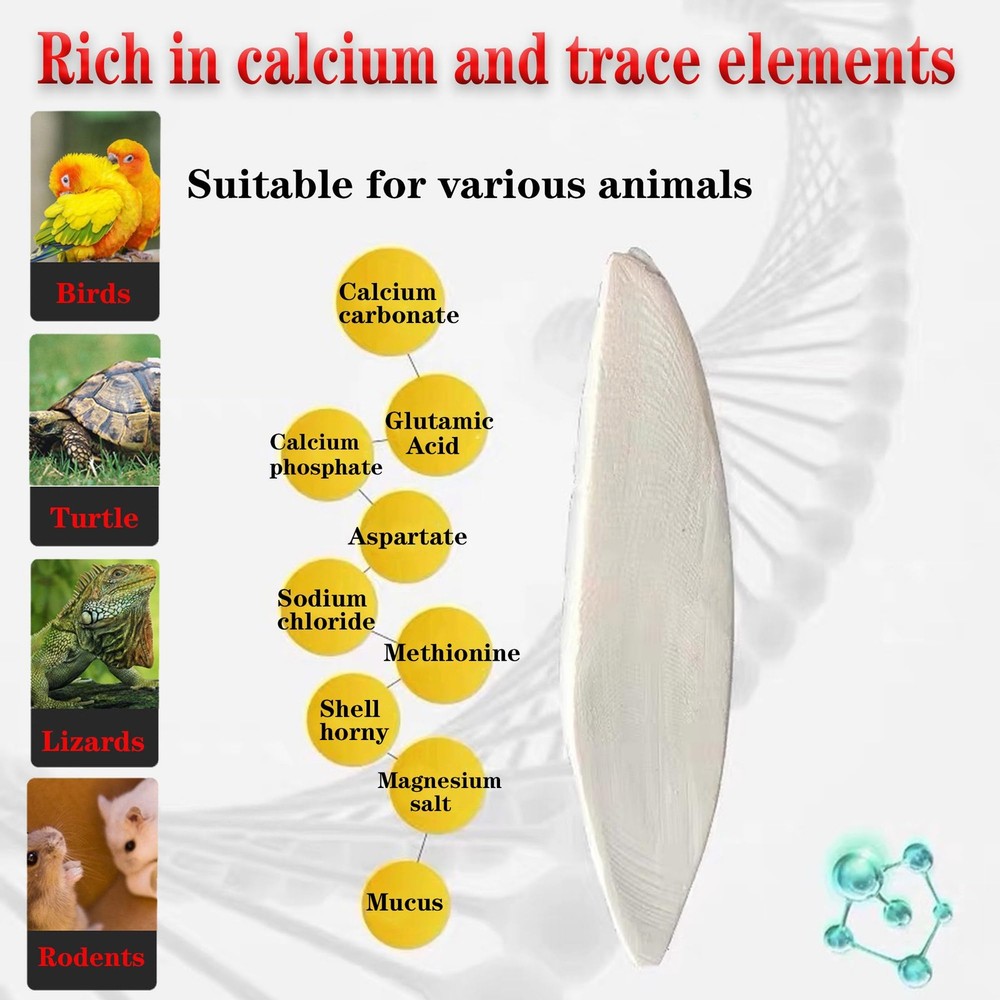 Bird Cuttlebone for Parakeets Cuttlebone for Birds Natural Cuttlefish Bone Bulk