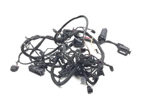 Main Engine Wiring Harness 2009 BMW F800GS 3131