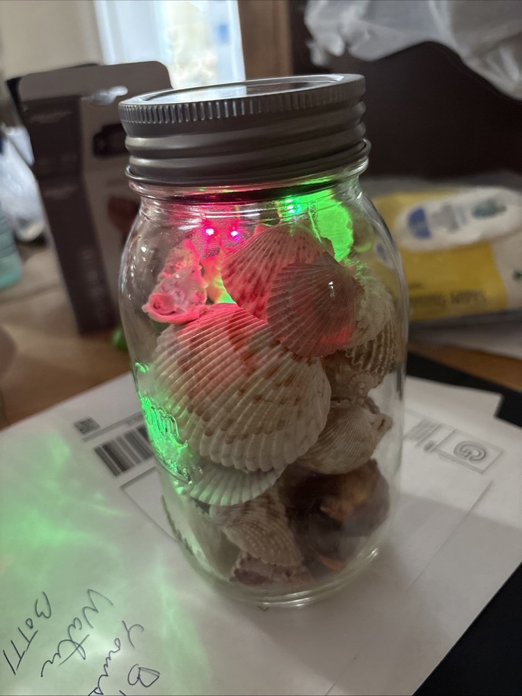 Shells In Lighted Jar