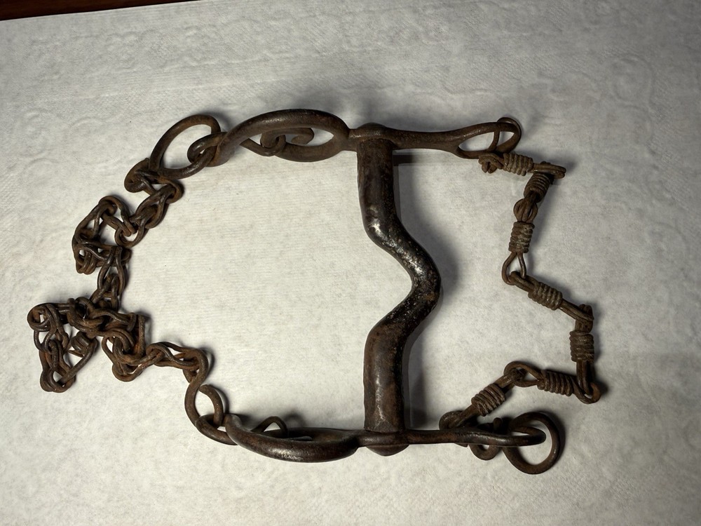 Rare Mexican Snake Bit with silver and copper
