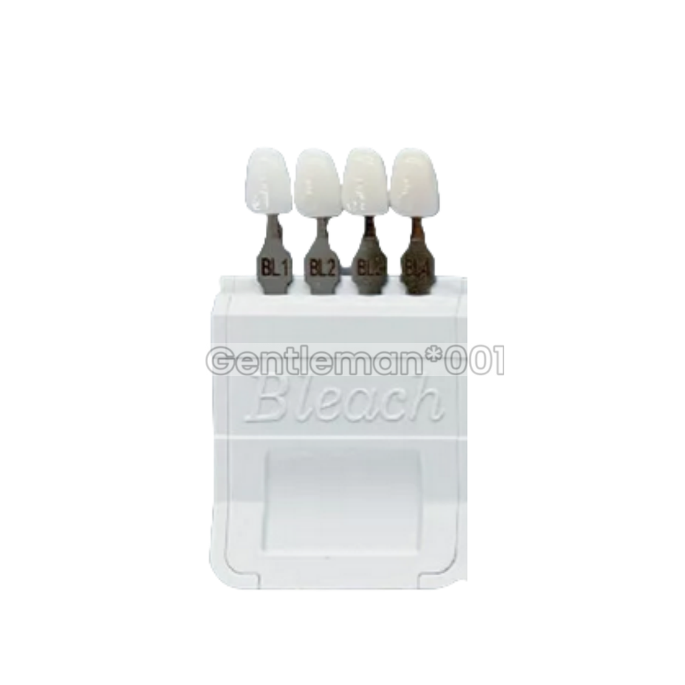 Dental Bleached A-D Shade Guide Bleached Chart Teeth Whitening Based Vita