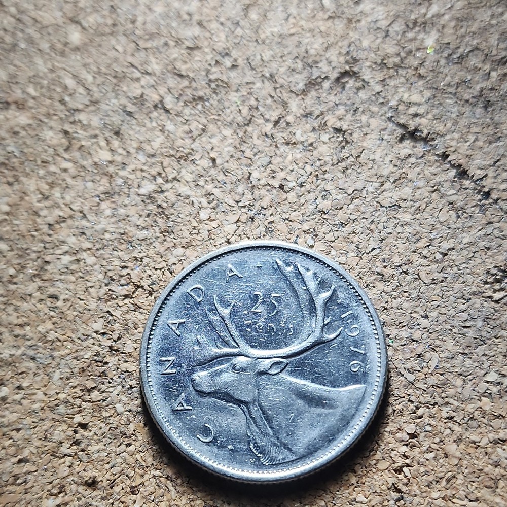 Canada 1976 25 Cent Coin - Circulated