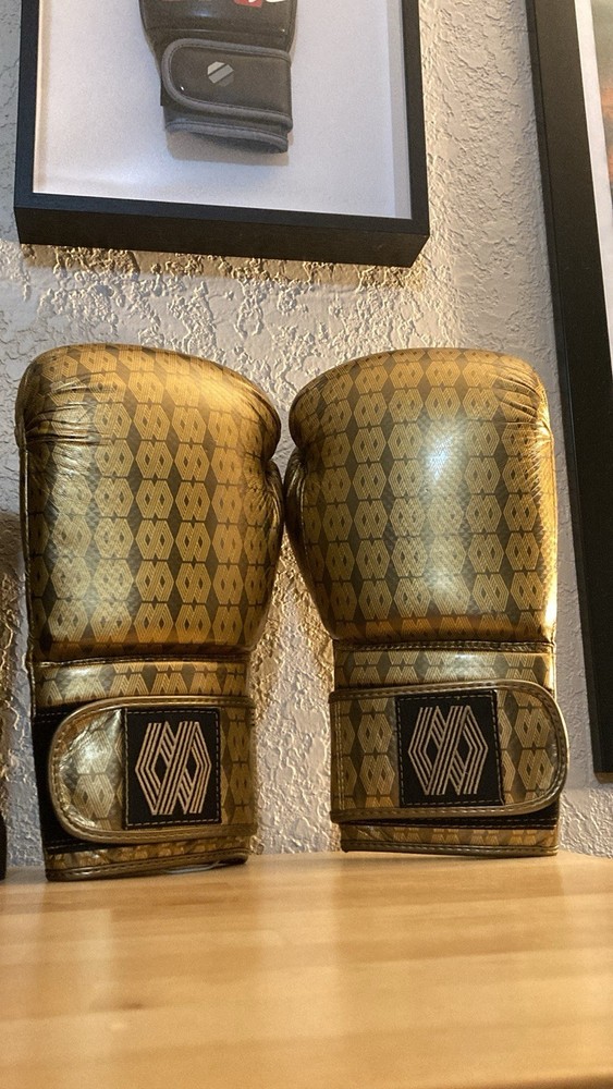 Mayweather Boxing Gloves