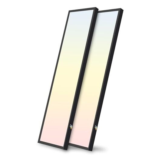 1x4 FT LED Flat Panel Selectable CCT Flush Mount 1x4 FT 2-Pack Black