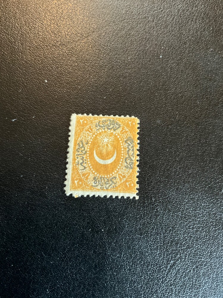 Stamps Turkey Scott #9 never hinged