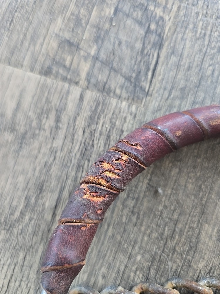 combination Horse Bit