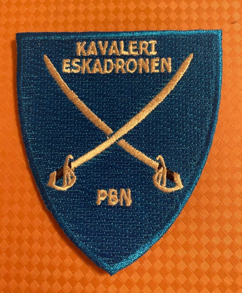 NORWAY ARMY MEDALS  - KAVALERIESKADRON PATCH —-
