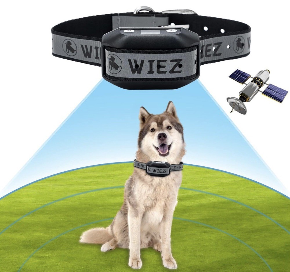 Wiez GPS Dog Fence