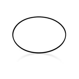 Paramount Water Valve Base O-Ring 005-302-0100-00