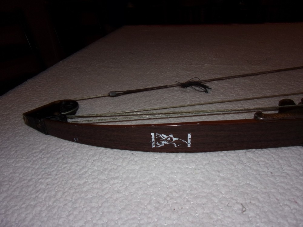 Bear Whitetail Hunter Vintage Compound Bow