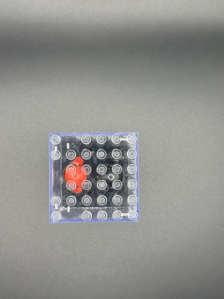 Display Case for Minifigures -6x6 stud size