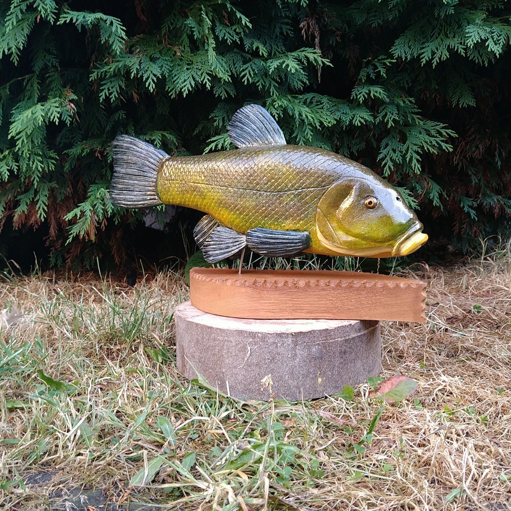 Tench Fishing , fish