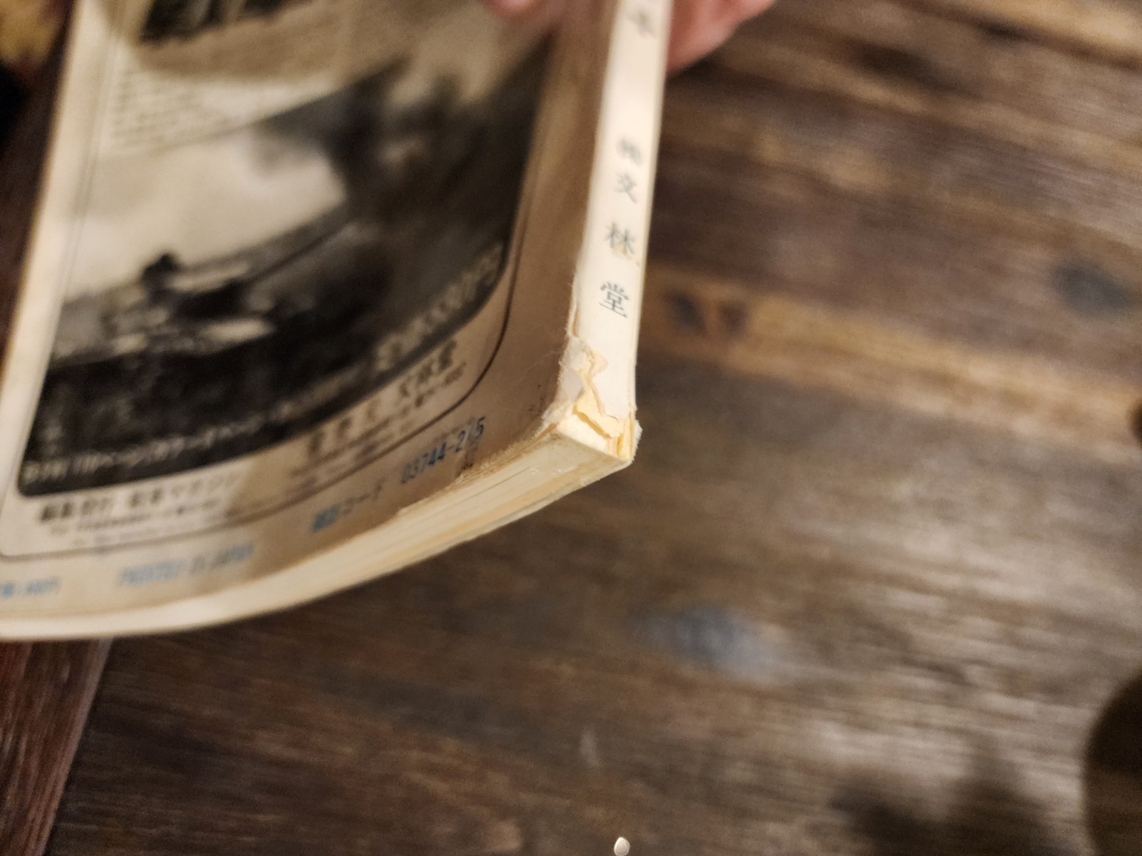 German Tanks of World War Two Japanese 1979 printed in Japan WWII Book