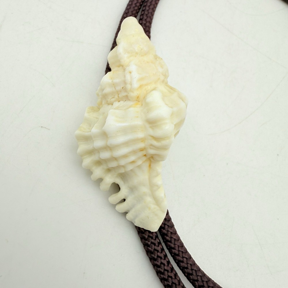 Seashell Brown Rope Bolo Tie with Silvertone Tips