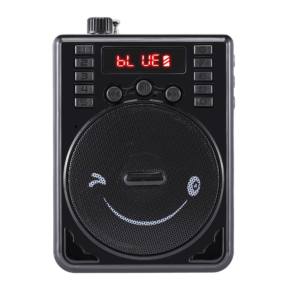 Portable Mini Wireless Amplifier Speaker Rechargeable W/Wired Microphone Headset