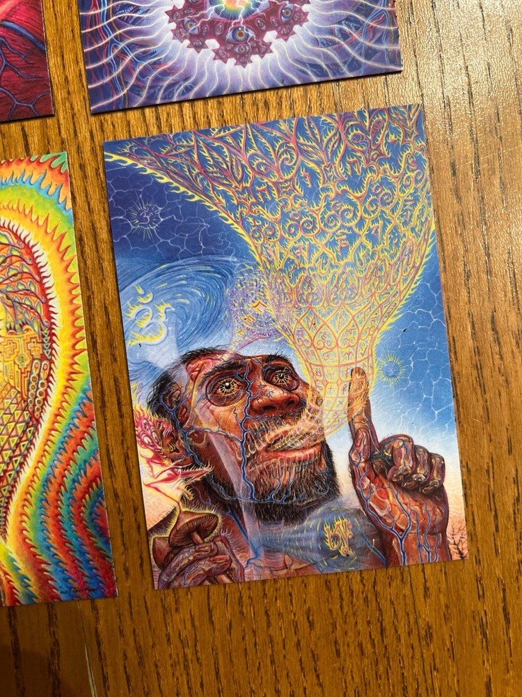 Alex Grey FRIDGE MAGNETS