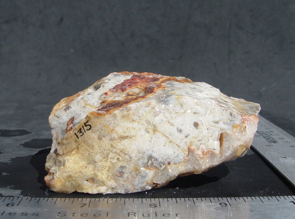 Lace Agate   Small Lapidary Rough                               1315