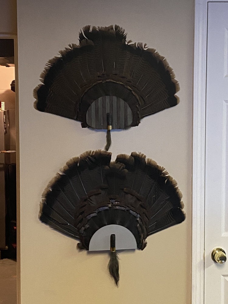 Turkey Fan and Beard Mount Kit 3D Printed